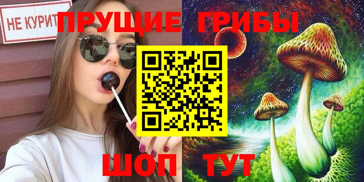 Кимовск  Псилоцибиновые грибы GOLDEN TEACHER  Галлюциногенные грибы Psilocybine cubensis  Вход с VPN 