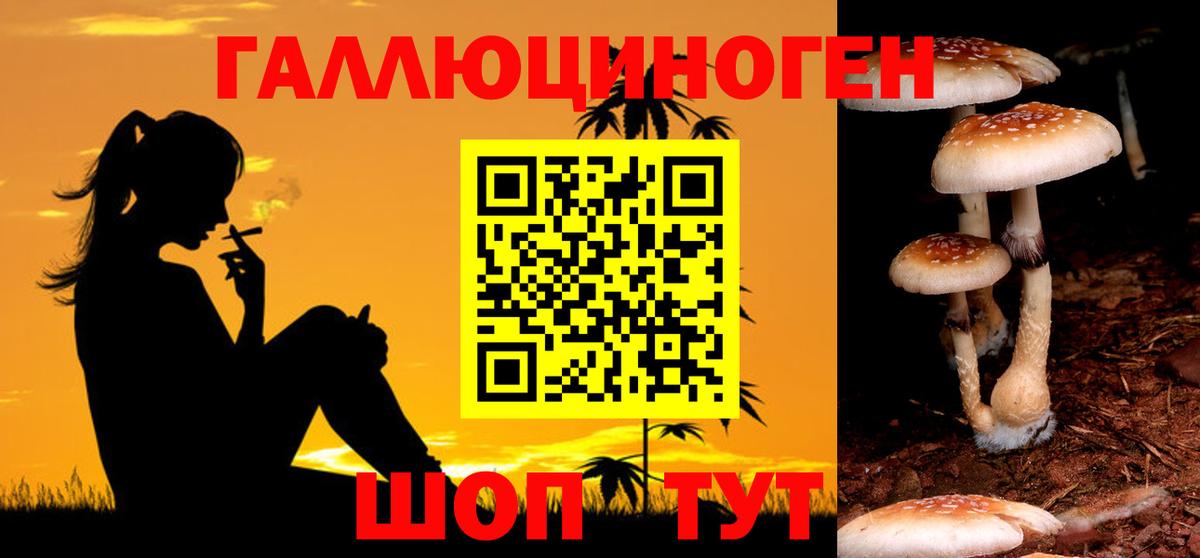 Галлюциногенные грибы прущие грибы Кимовск